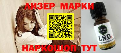 гашик Будённовск
