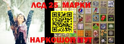 гашик Будённовск