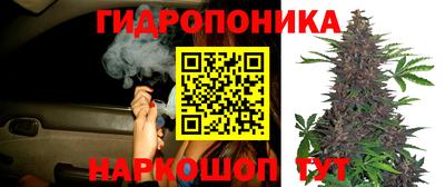 гашик Будённовск