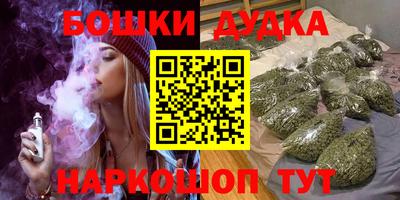 гашик Будённовск