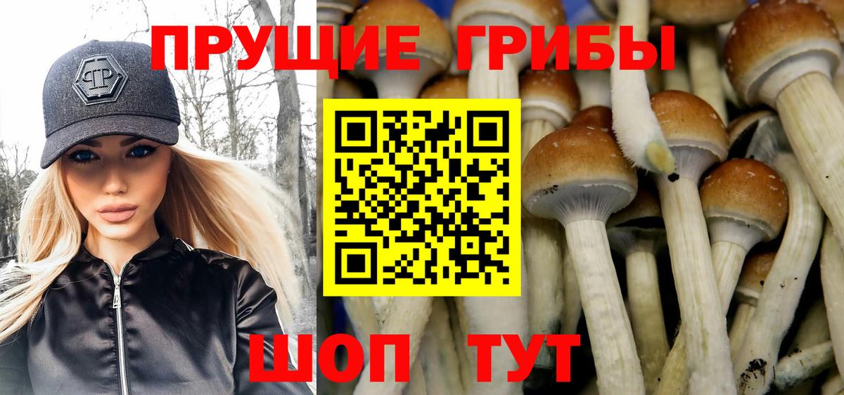 Псилоцибиновые грибы мицелий Самара