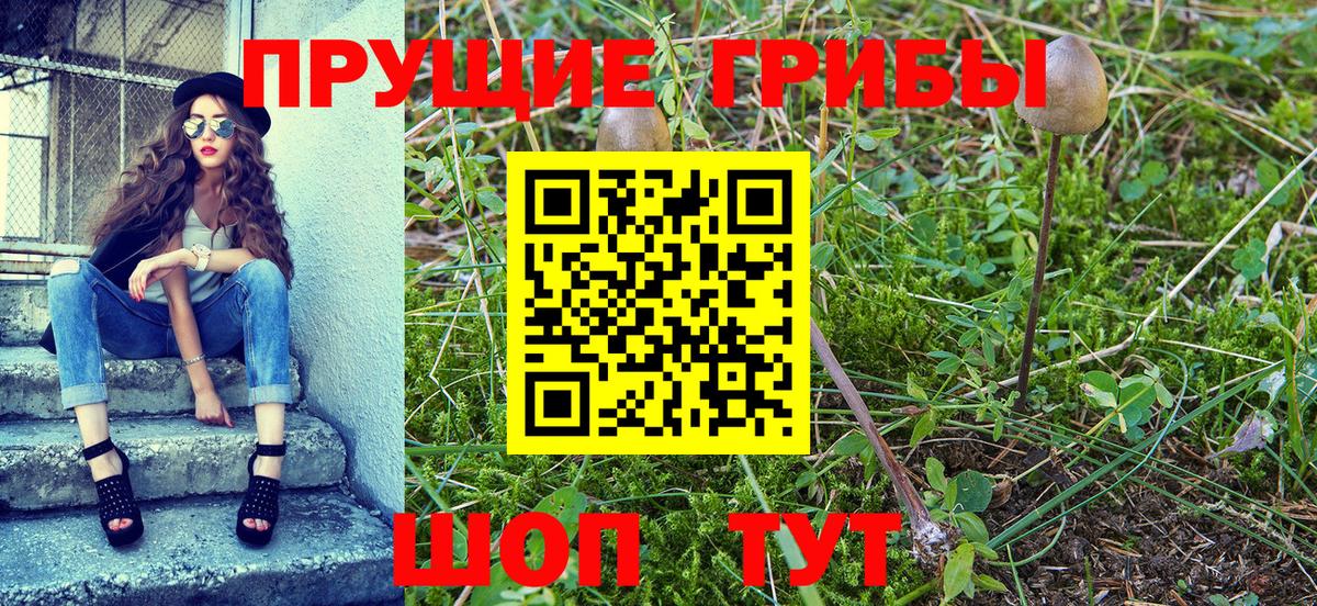 Самара  Галлюциногенные грибы Psilocybine cubensis  Вход с VPN  Псилоцибиновые грибы Psilocybe 